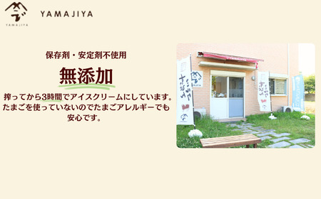 無添加ジェラート すっぴんミルク 6個  ジェラート