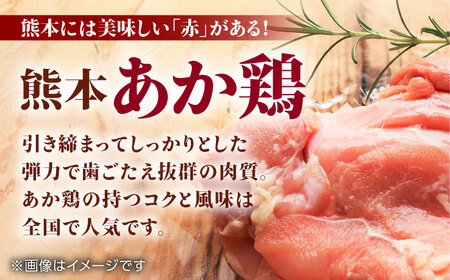 熊本あか鶏  5種食べ比べセット（モモ ささみ ムネ 手羽先 手羽元）各2kg 計10kg【やまうちフード株式会社 熊本営業所】 熊本県 特産品 赤鶏 九州産  [ZAB005]