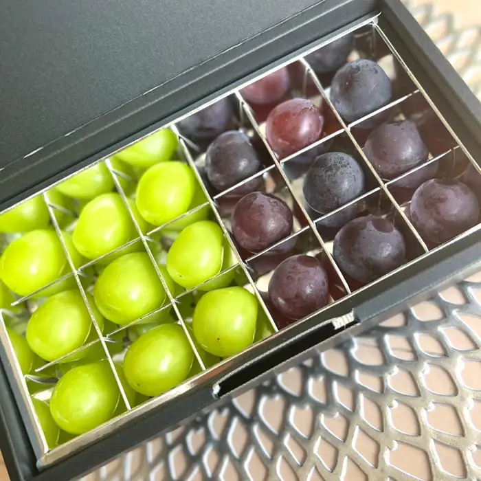 【先行予約】粒々ぶどう18粒　シャインマスカットとぶどう1品種【茨城県共通返礼品 かすみがうら市】 No.296