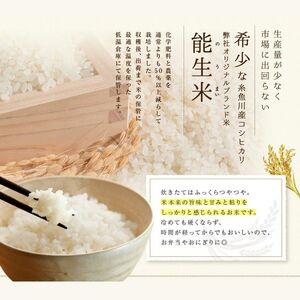 米 新米【令和6年産 新米】新潟県産コシヒカリ 玄米 30kg 令和6年産