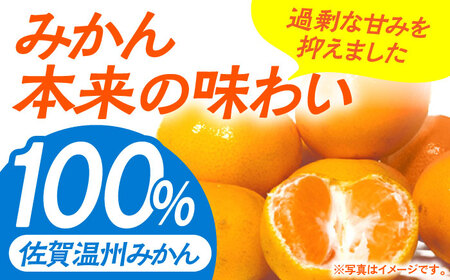 さがみかん100 1L×6本 [HAM039]みかんジュース 果汁100% 濃縮還元 温州