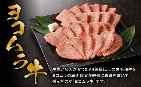 【 鹿児島 黒毛和牛 A4 ～ A5 】 焼肉 特上 セット ( 特上カルビ / 特上ロース ) K189-007 肉 牛肉 冷凍