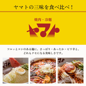 ヤマト 生麺 3種 セット 詰め合わせ 焼肉冷麺ヤマト 冷麺 温麺 ビビン麺 各2食 化粧箱入り 盛岡冷麺 スープ カクテキ 盛岡三大麺 焼肉屋 生麺 麺 麺類 辛麺 ピリ辛 牛骨スープ タレ 牛骨 惣菜 昼食 夜食 夕食 岩手 岩手県 盛岡市
