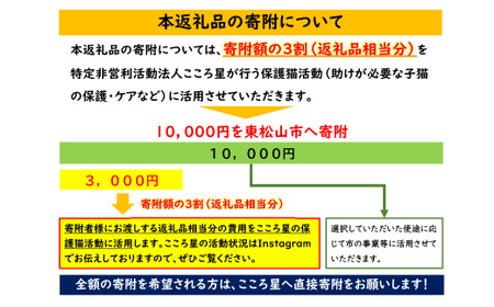 保護猫 活動支援 寄付額10,000円 | 保護猫 支援