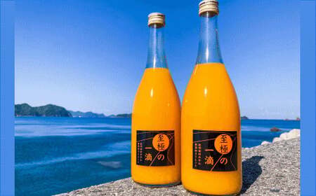 【無添加】 田村 みかん の新鮮100％ ジュース 「至極の一滴」720ml×3本入り / 飲料 ドリンク ※2026年3月上旬頃より順次発送予定 【tec933A】