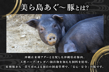 生ハム 計700g ( 70g × 10パック ) あぐー豚 豚肉 61-1