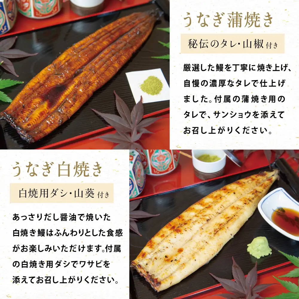鹿児島県産 鰻 蒲焼・白焼セット［2種］うなぎ専門店「万のせ」加工品 詰め合わせ 詰合わ ギフト 贈答 贈り物 手土産 御祝 お祝い 鹿児島うなぎ 鰻 ウナギ スタミナ 土用の丑の日 蒲焼き 白焼き うな重 たれ だし 山椒 山葵 鹿児島県 南さつま市