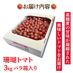 珊瑚トマト　3kg【野菜 トマト とまと ミニトマト みにとまと フルーツトマト 新鮮 リコピン ビタミン】（AX201）