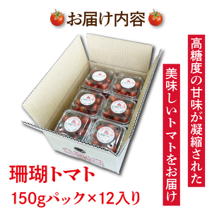 珊瑚トマト　150ｇパック×12入り【野菜 トマト とまと ミニトマト みにとまと フルーツトマト 新鮮 リコピン ビタミン】（AX202）