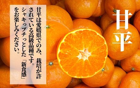 【2027年2月頃から順次発送】【甘平】約2.8ｋｇ（ご家庭用） みかん ブランド 柑橘 フルーツ 果物 愛媛 松山【PT037_x】
