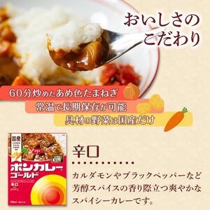 【定期便全4回】ボンカレーゴールド（辛口）30個×4回　計120個