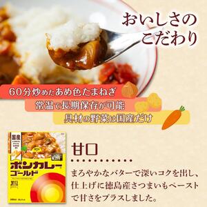 【定期便全6回】ボンカレーゴールド（甘口）30個×6回　計180個