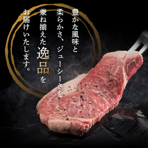 山梨県産　富士山麓牛　ロースステーキ 600g 牛肉 ロース ステーキ ジューシー 霜降り 