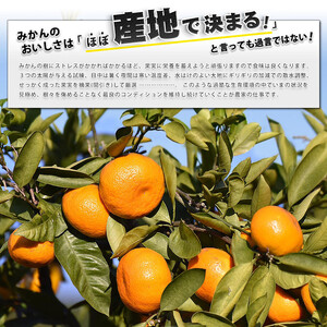 小玉みかん 訳あり 小玉 みかん 8kg 中井屋 【 訳あり みかん 】 B010-173002