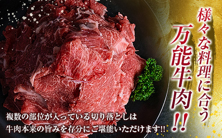 鹿児島県産 黒毛和牛 切落し 900g K002-049 肉 牛肉 冷凍