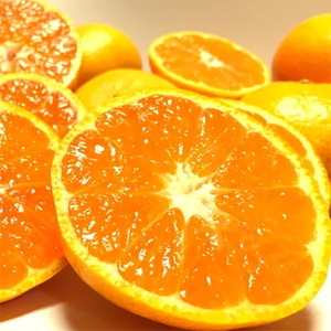 【訳あり・ご家庭用】完熟有田みかん  サイズ混合(2L～4L)　約5.2kg(5kg+200g)【2026年11月中旬～1月中旬頃に順次発送予定】【AA90080-ard225A】