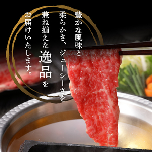 富士山麓牛　肩ロース薄切り＆赤身肉 すき焼きセット 牛肉 食べ比べ 薄切り ジューシー 霜降り 