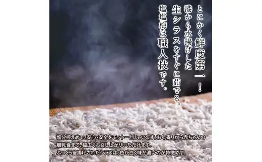 訳あり釜揚げシラス1.7kg 高知県産 