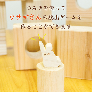 【ふるさと納税】つみき＆脱出ゲーム [a9423] ローカルズ55.LLP 【返礼品】添田町 ふるさと納税