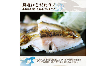 【先行予約】藁焼きうつぼのたたき（タレ・薬味付き）約200g 2～3人前〈2026年11月〜発送〉 タタキ ウツボ うつぼ 高知県 珍味 タレ付き 新鮮 冷蔵 わら焼き セット【さかなの森澤　マル祐】[BQAM004]