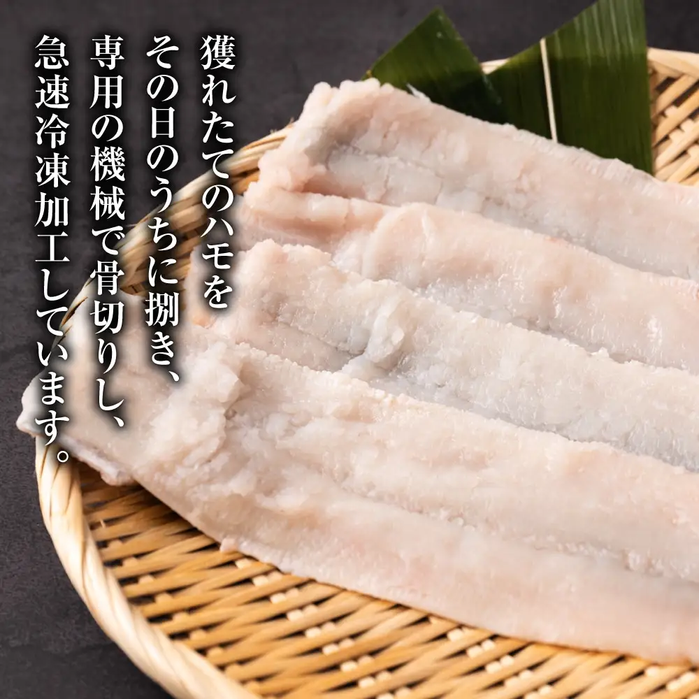 熊本県八代市産 骨切りハモ（小サイズ）200g×2