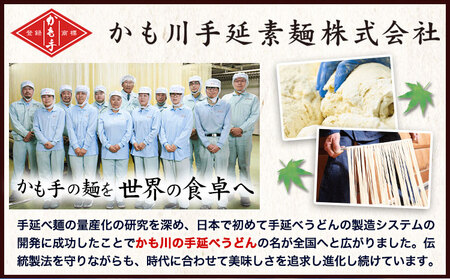 手延べ素麺 250g×20袋 5kg かも川手延素麺株式会社