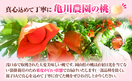 桃 約1.5kg 亀川農園 【配送不可地域あり】