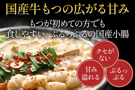 博多若杉 もつ鍋 醤油味 ちゃんぽん 国産牛もつ鍋 4～5人前 