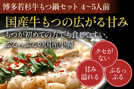 博多若杉 もつ鍋4～5人前  醤油味 + 博多水炊き 4～5人前 セット ちゃんぽん 牛もつ鍋
