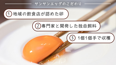 【 定期便 】【 全12回 コース 】 紅プレミアム 卵 30個 （ 25個 入り ＋ 割れ保障 5個 ）