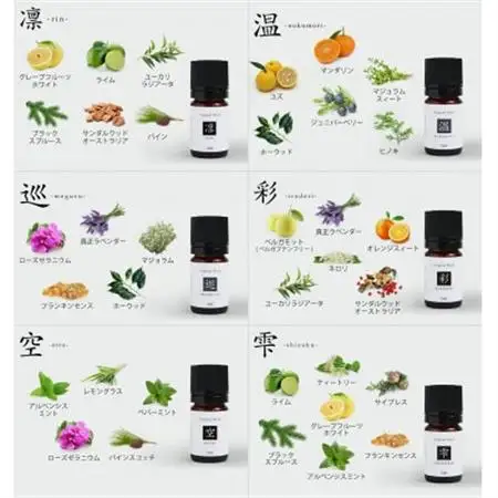 ease12ヶ月のブレンドオイル(5ml×12本)+アロマストーンMONO3種セット【配送不可地域：沖縄県】【1419811】