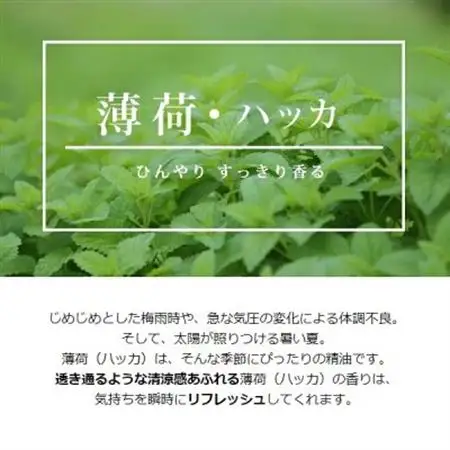 easeアロマスプレー　ハッカ 100ml×3本 清涼感あふれる薄荷の香り　リフレッシュしたい時に【配送不可地域：沖縄県】【1426365】