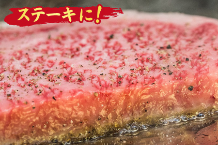 【スピード発送】【4回定期便】佐賀牛 ふたりで贅沢 お楽しみ便(合計1.9kg)(H085149)
