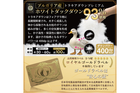 【春夏用】洗える羽毛布団 セミダブル 肌掛け ダウン 夏 春 ホワイトダックダウン 93％ 0.4kg ブルガリア産 (無地 グレー) [川村羽毛 山梨県 韮崎市 20743653]