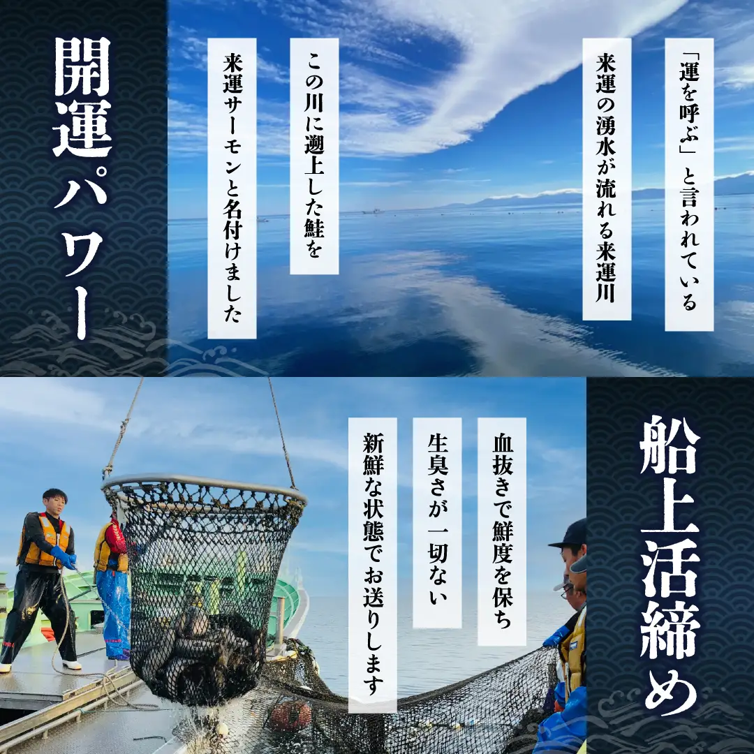 【先行受付】新ブランド「来運サーモン(約800g)」知床斜里産の天然サーモン