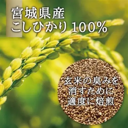 宮城県産コシヒカリ使用　玄米パスタ グルテンフリー米粉麺 30袋_麺 パスタ  _【1428040】