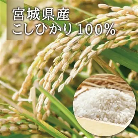 宮城県産コシヒカリ使用　グルテンフリー米粉パスタ食べ比べセット 米粉パスタ・玄米パスタ各15袋_麺 パスタ  _【1428171】