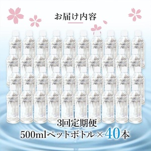 【桜屋】3回 定期便 シリカ天然水 サクラシリカ 500ml 40本 3回 計120本 シリカ含有量99mg/L シリカ水 ラベルレス 水 ミネラルウォーター 飲料水 飲料 ペットボトル ナチュラルウォーター サルフェート 炭酸水素イオン ミネラル 国産 阿蘇 小国郷