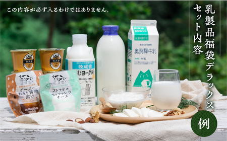 訳あり 福袋 ＜牧成舎＞乳製品デラックスセット 牛乳 ヨーグルト チーズ お任せ 飛騨産生乳で作ったこだわりの乳製品セット まとめ買い 牧成舎[Q2209]