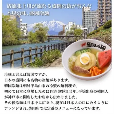 やまなか家の伝統の味本場盛岡冷麺!6食セット　(G-007)_麺   _【配送不可地域：離島】【1403087】