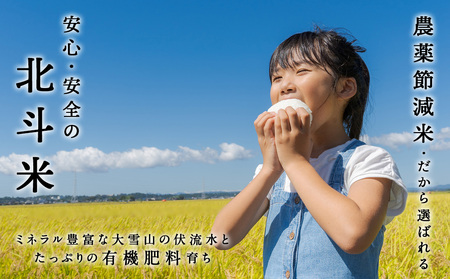 【令和7年産】【定期便 3カ月】北斗米ななつぼし10kg （5kg×2袋）