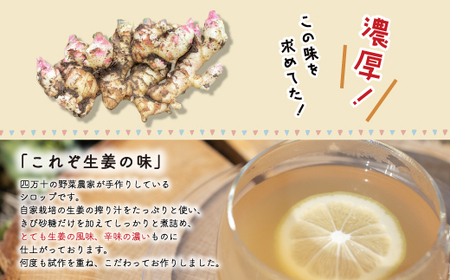 生姜好きさんにオススメ！ 濃厚 しょうがシロップ 2本セット【あまくち】国産 生姜シロップ 自家製 生姜 しょうが ショウガ ジンジャー シロップ 甘口 ドリンク 料理 調味料 高知 四万十 四万十市 しまんと 産地直送 25-756