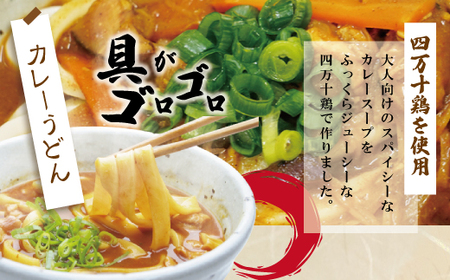 26-185．四万十鶏がゴロゴロ入った極太カレーうどん　５食セット