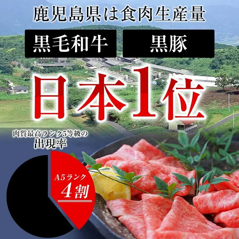 鹿児島県産黒豚しゃぶしゃぶセット（計800g）