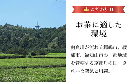 JA京都にのくに 特選玉露・煎茶 平箱セット (玉露100g・煎茶100g・各1袋 ) ふるさと納税 福知山市 特選玉露 煎茶 まろやか 豊かな香り お中元 お歳暮 【fc-CR005】【京都丹の国農業協同組合】