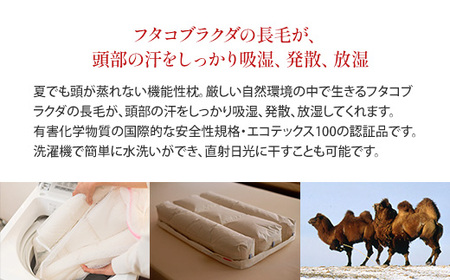枕 キャメル IWATA 高さ4cm ラクダ まくら 職人 滋賀 愛荘