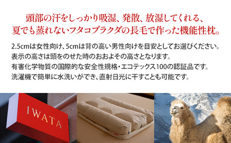 枕 キャメル IWATA 高さ5cm ラクダ まくら 職人 滋賀 愛荘