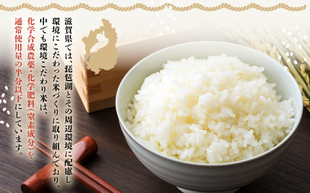 滋賀県愛荘町産 ミルキークイーン 5Kg 令和7年産 新米 2025年 AC02