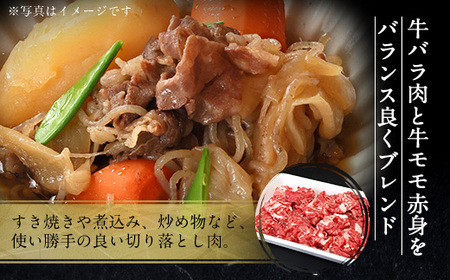近江牛 切り落とし 500g 牛肉 和牛 黒毛和牛 BBQ キャンプ すき焼き しゃぶしゃぶ 国産 贈答 ギフト お祝い 父の日 母の日 滋賀 愛荘