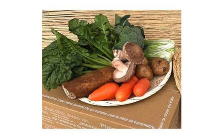 【栽培期間中無農薬＆減農薬】季節の野菜ハーフセット （KBE-113）